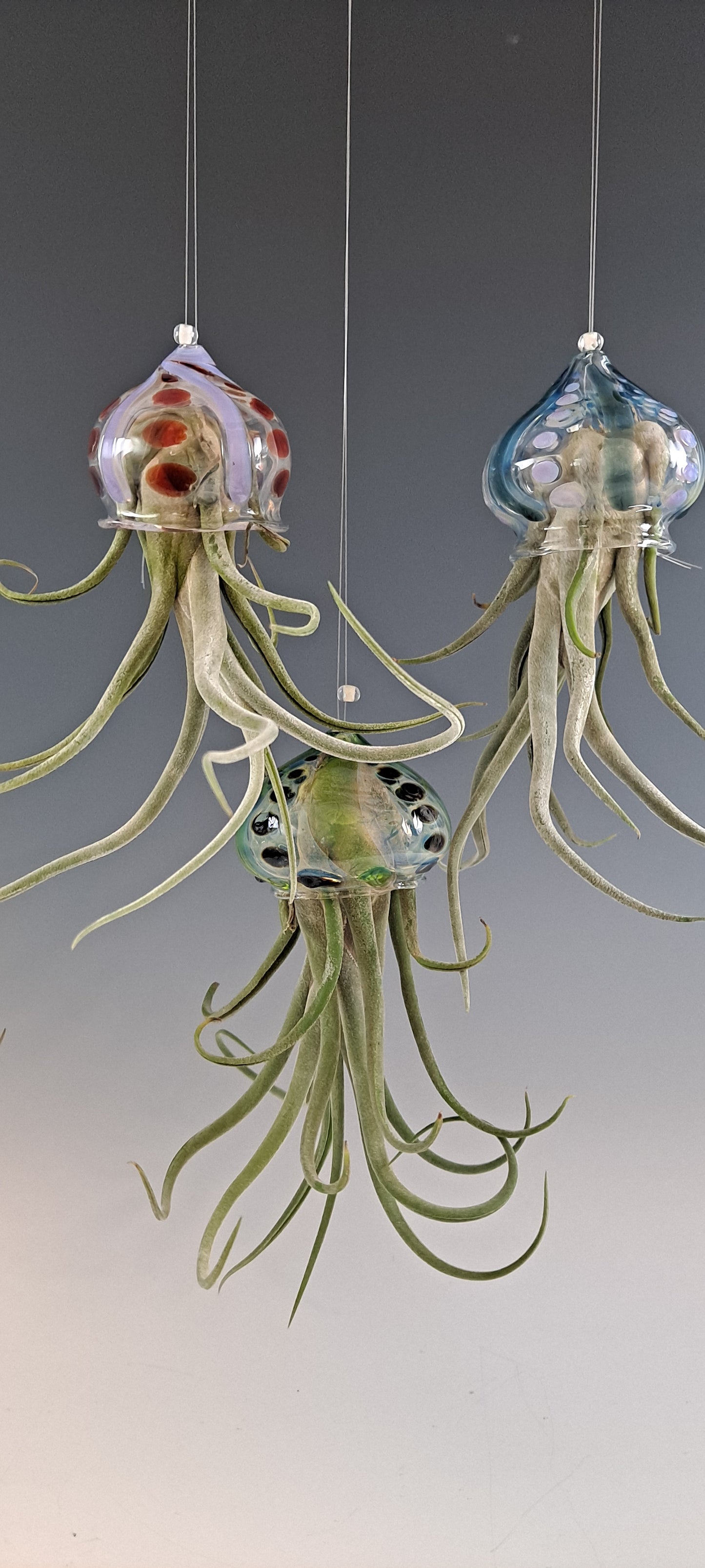 Flying Jelly Fish Air Plant Hanger, Octopus Air Plant Holder