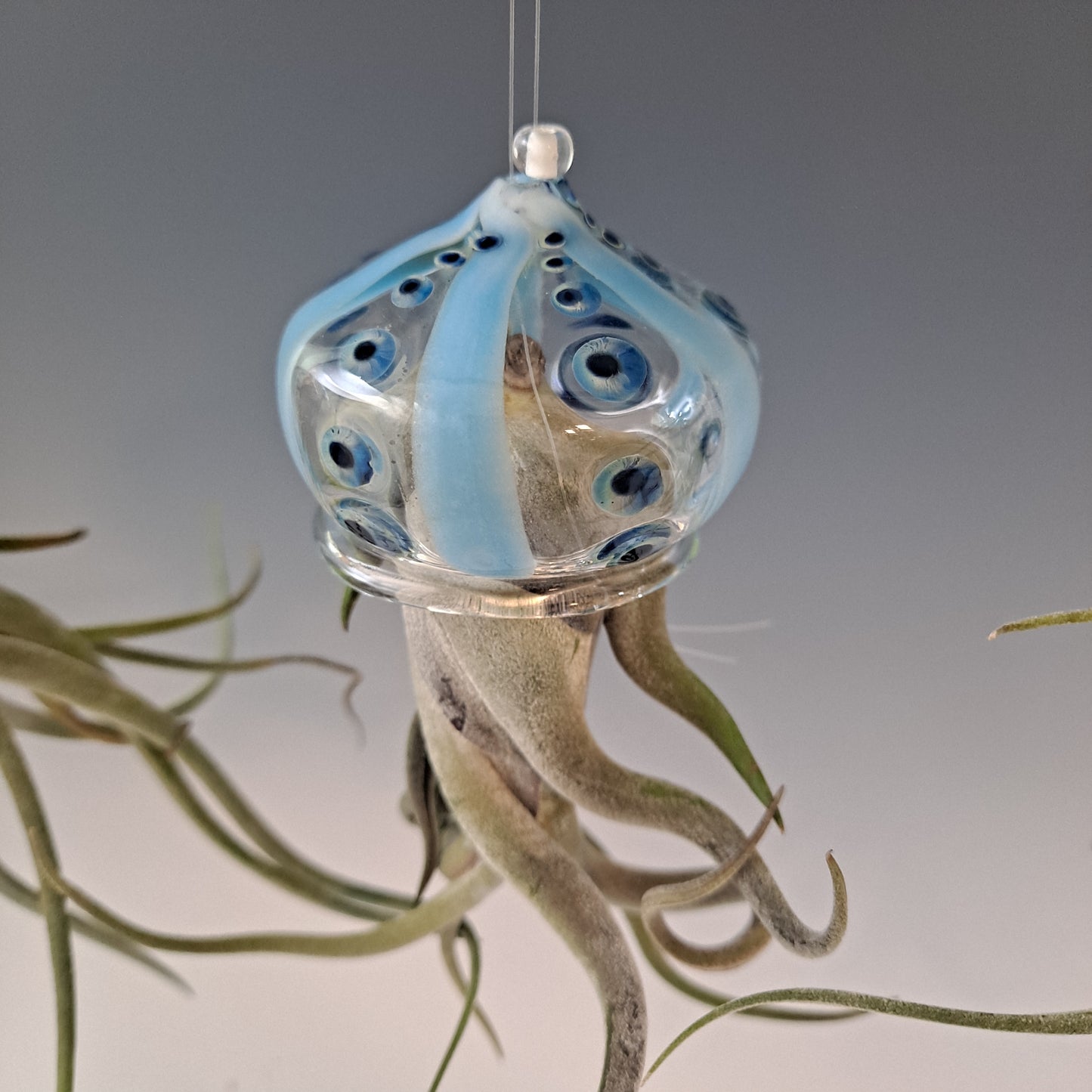 Flying Jelly Fish Air Plant Hanger, Octopus Air Plant Holder