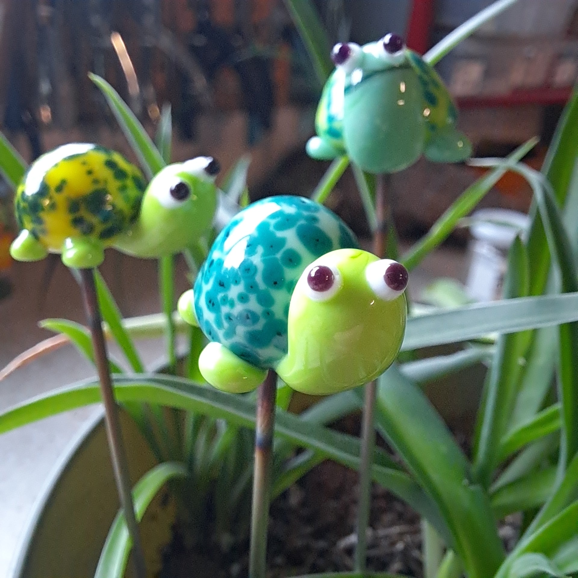 plastic decorative plants Turtle Plant Pals, House plant and Fairy Garden Decor – Sunshine Glass Gifts