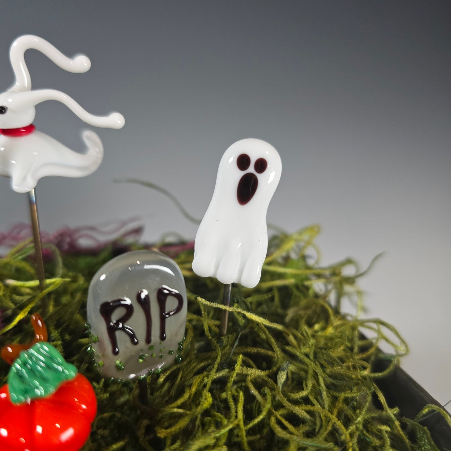 Ghost Plant Pals Houseplant and Fairy Garden Decor