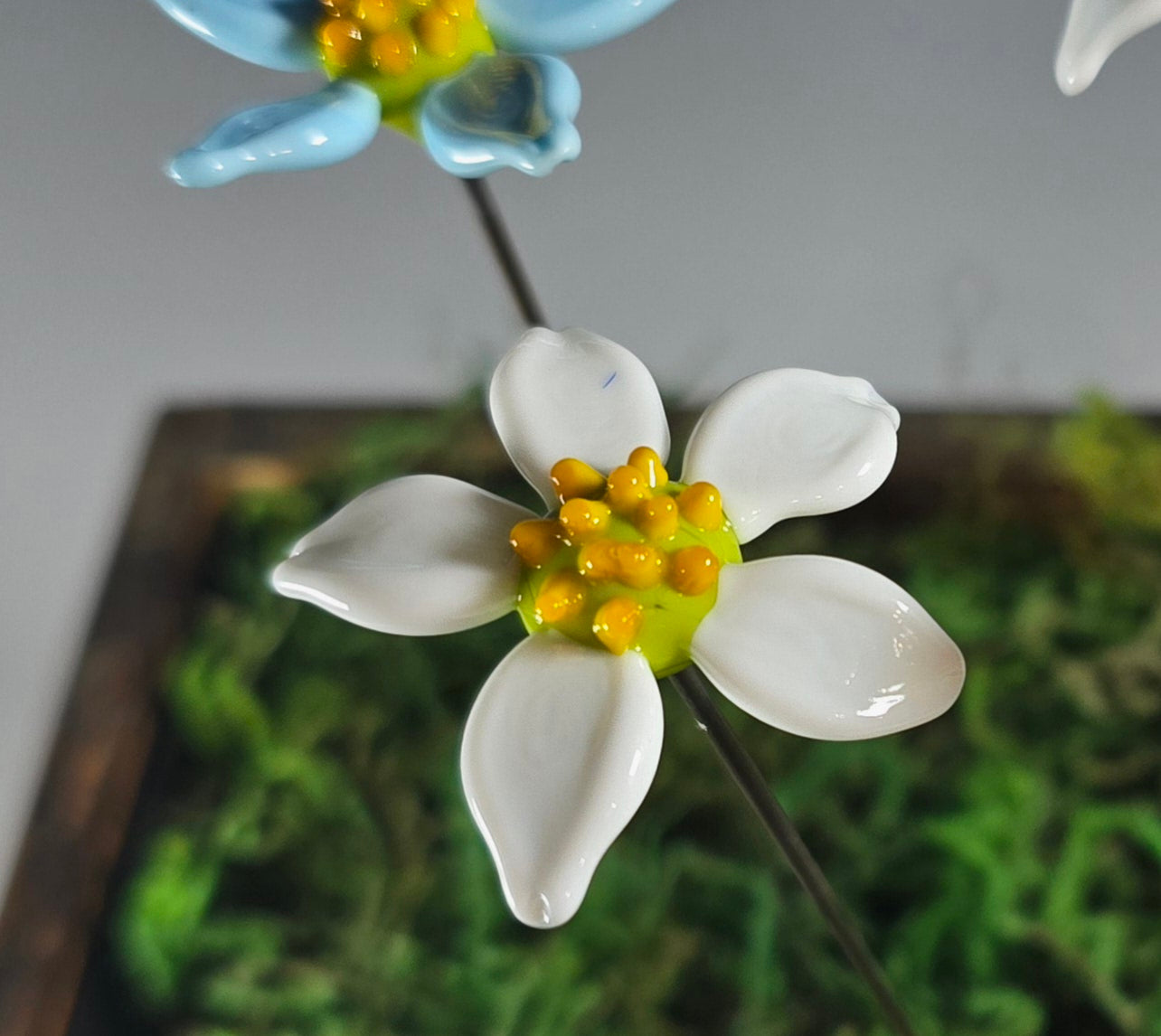 Glass Flower Plant Pals, House plant and Fairy Garden Decor