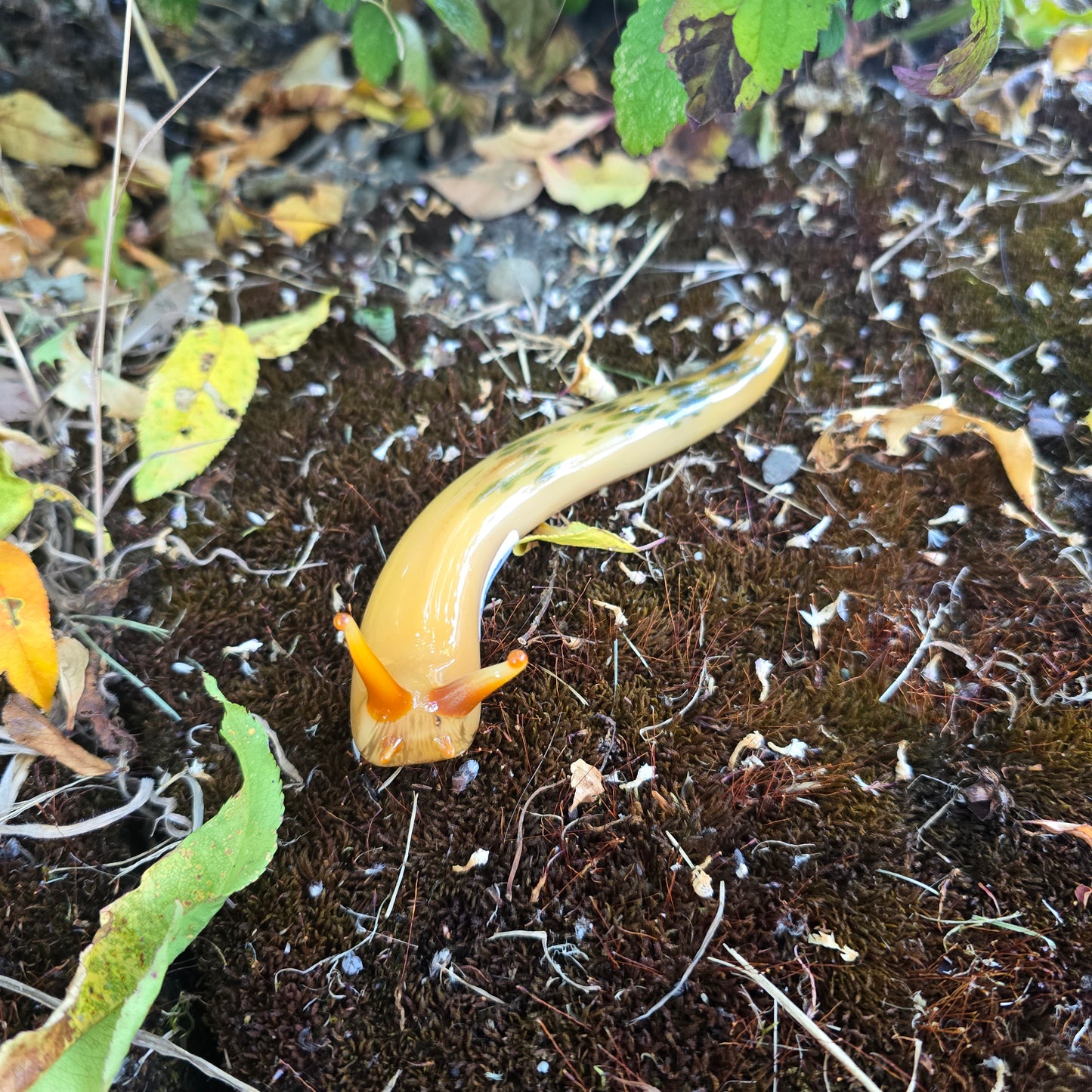 Giant Banana Slug Figurine