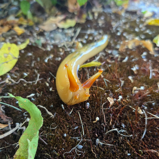Giant Banana Slug Figurine