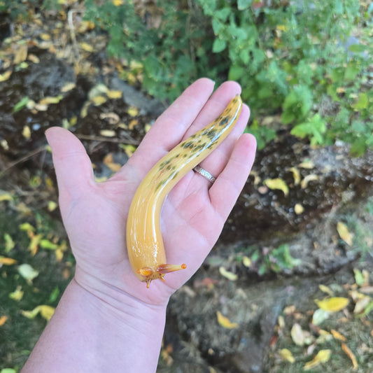Giant Banana Slug Figurine