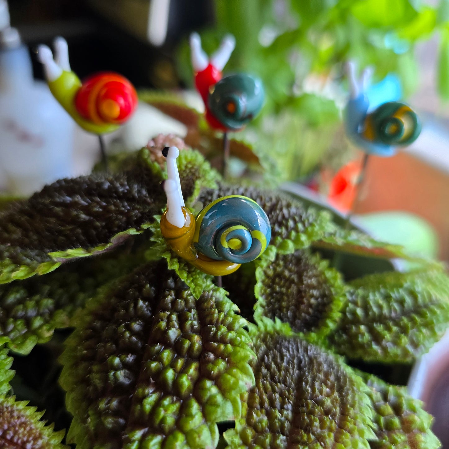 Glass Snail Plant Pals, House plant and Fairy Garden Decor