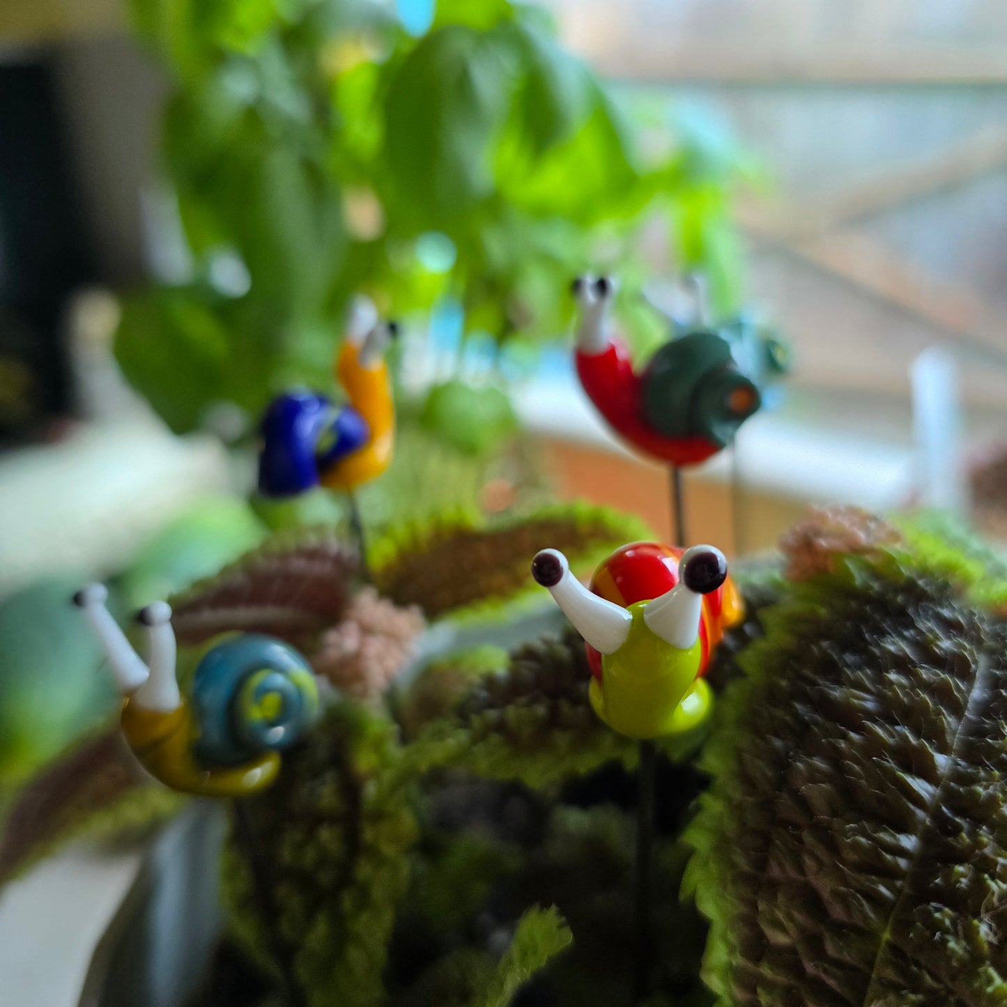 Glass Snail Plant Pals, House plant and Fairy Garden Decor