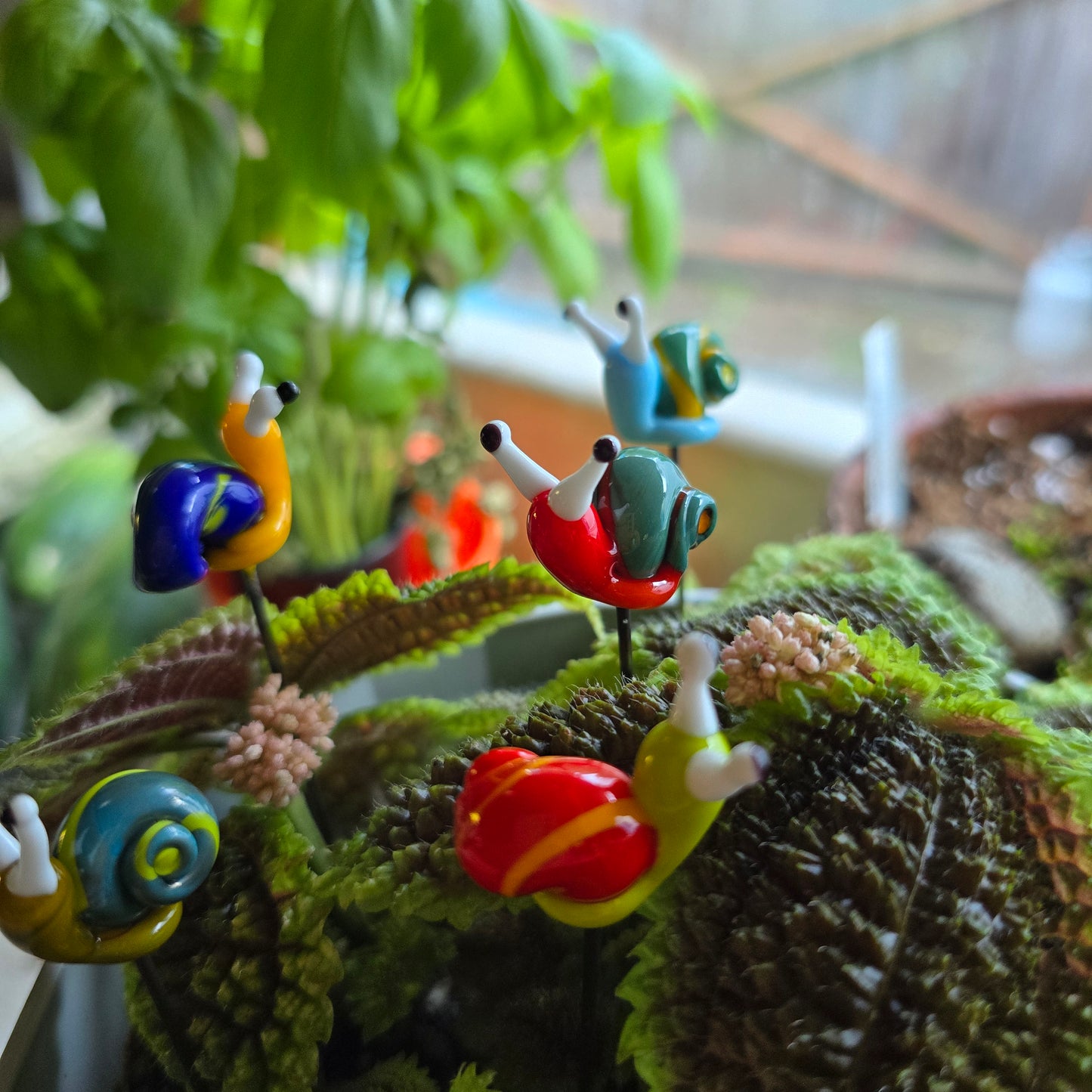 Glass Snail Plant Pals, House plant and Fairy Garden Decor