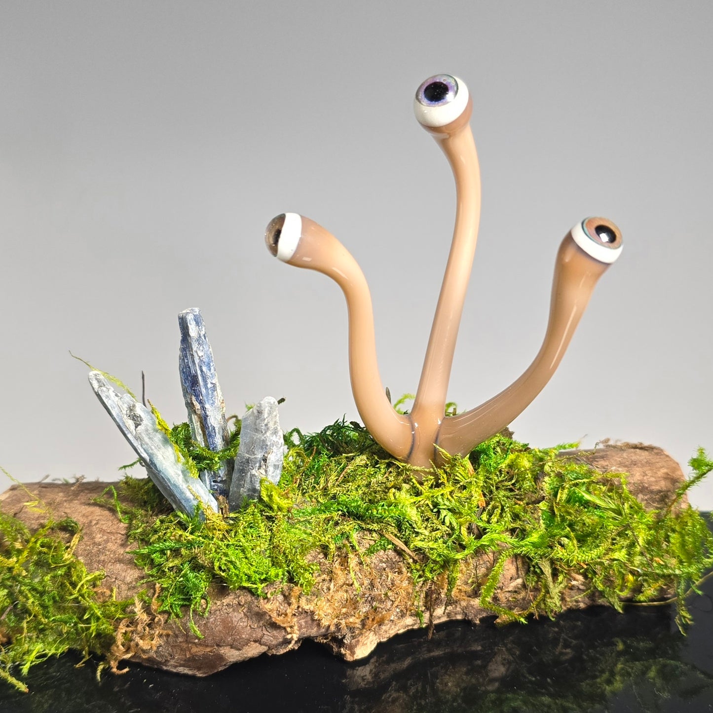 Eyeball Moss Plant Sculpture #0865