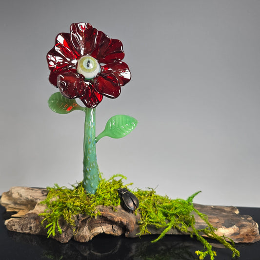 Eyeball Monster Plant Sculpture #0864