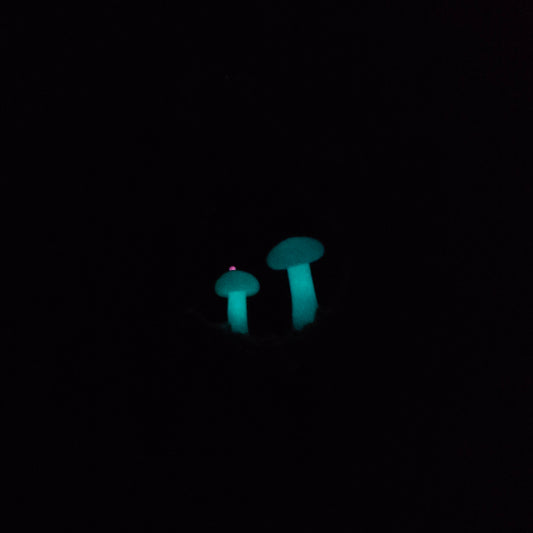 Glowing Mushroom Fairy Ring Necklace
