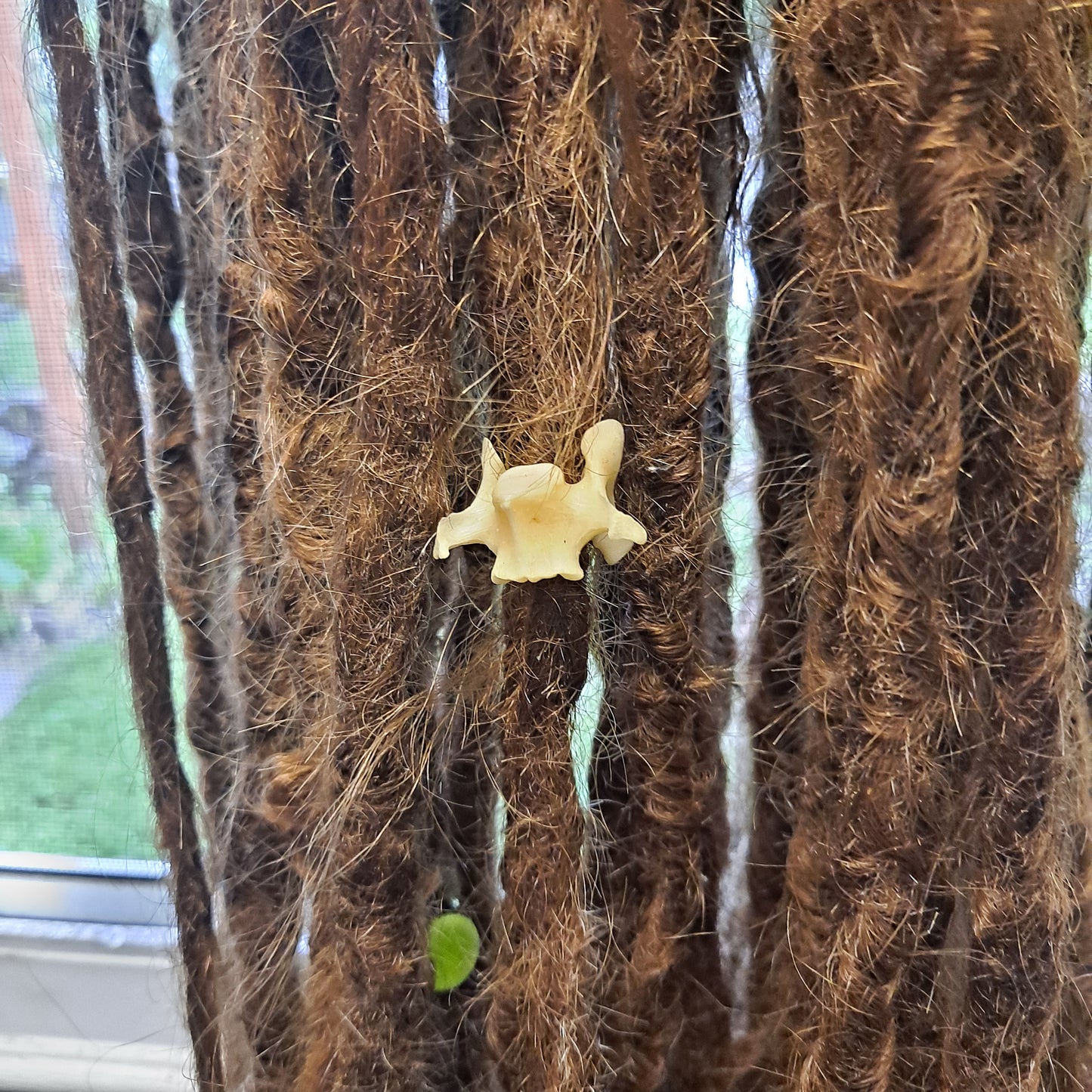 Fox Vertabre Bone Dread Bead with 8-10mm Bead Holes, Bone Dreadlock Beads, Dread Jewelry, Natural Dread Beads, Loc Accessories