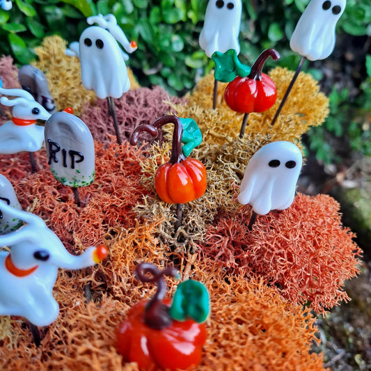 Pumpkin Plant Pals, House plant and Fairy Garden Decor