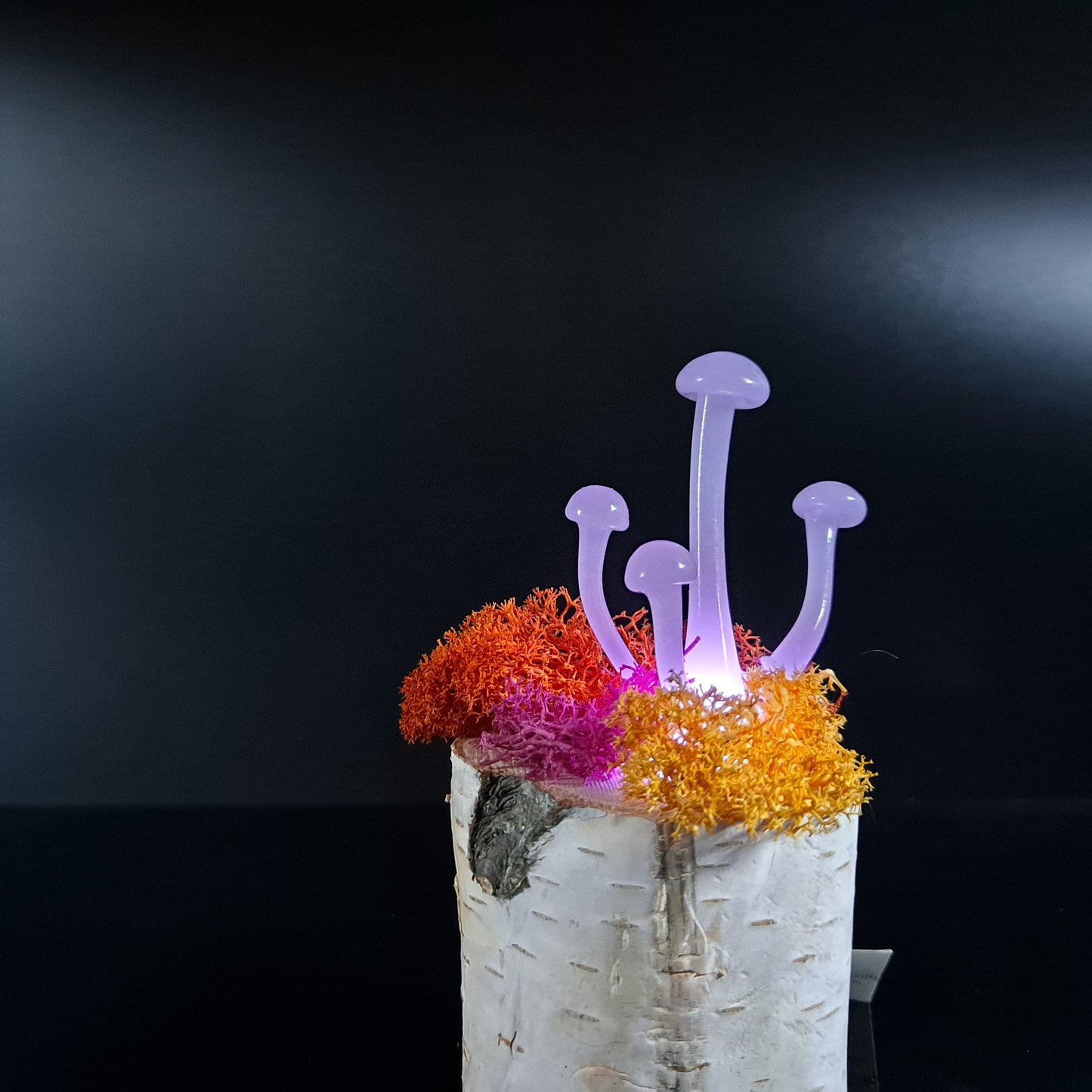 Mushroom Sculptures, Color Changing Night Lights