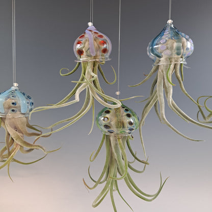 glass jellyfish air plant hanger Flying Jelly Fish Air Plant Hanger, Octopus Air Plant Holder