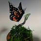 Glass Butterfly Sculpture Collection