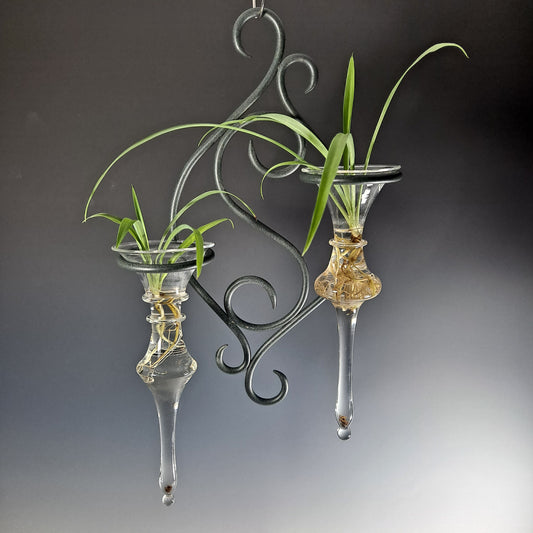 Hand-Blown Glass Plant Holders The Ultimate Plant Propagation Station Collection