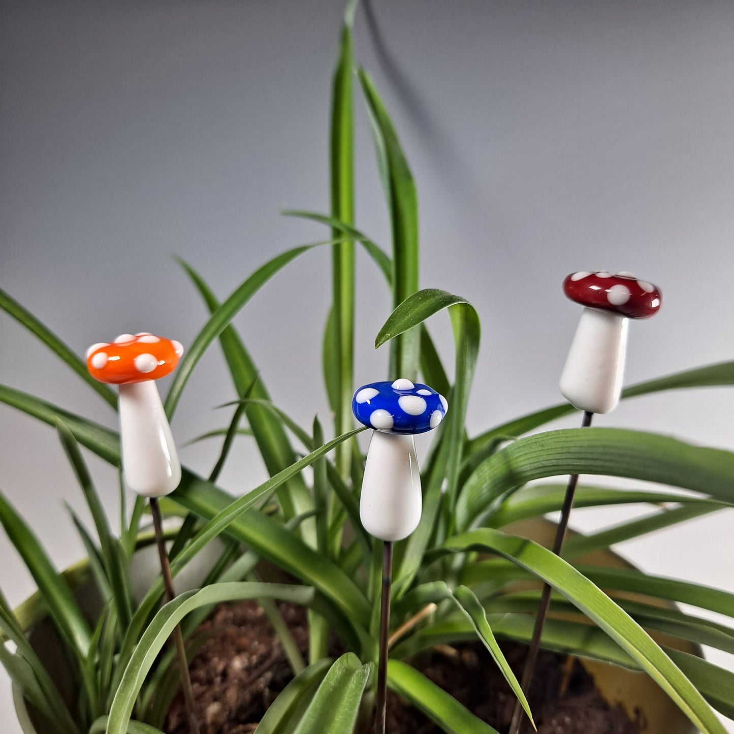 Glass Mushroom Plant Pals, House plant and Fairy Garden Decor