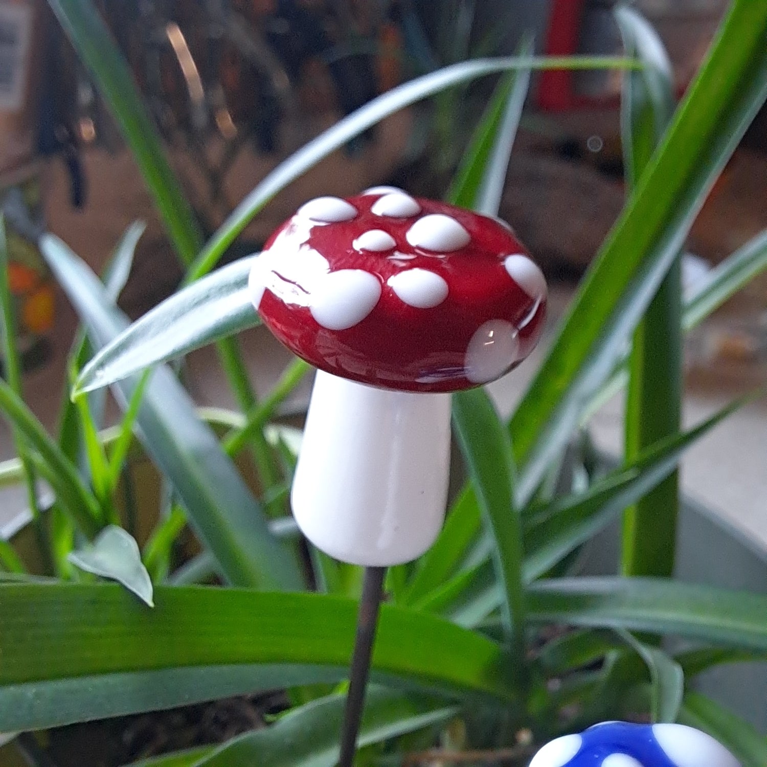 Mushrooms