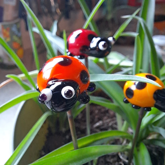 Glass Lady Bug Plant Pals, House plant and Fairy Garden Decor