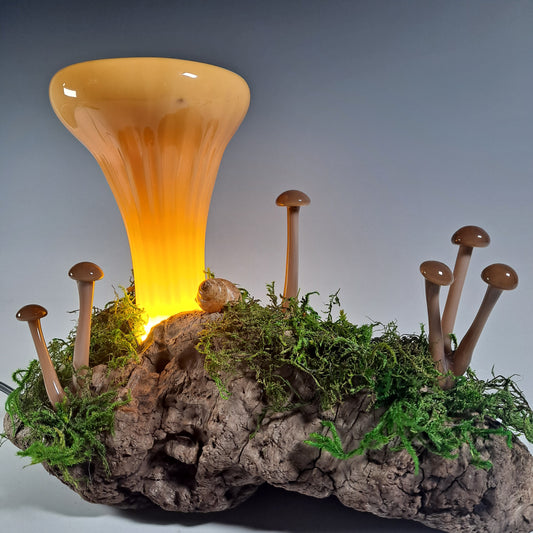 Chanterelle Mushroom Lamp