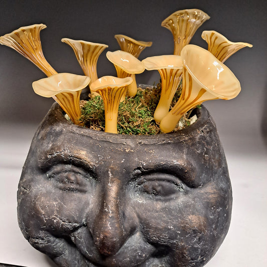 Handmade Glass Chanterelle Mushrooms for Your House Plants