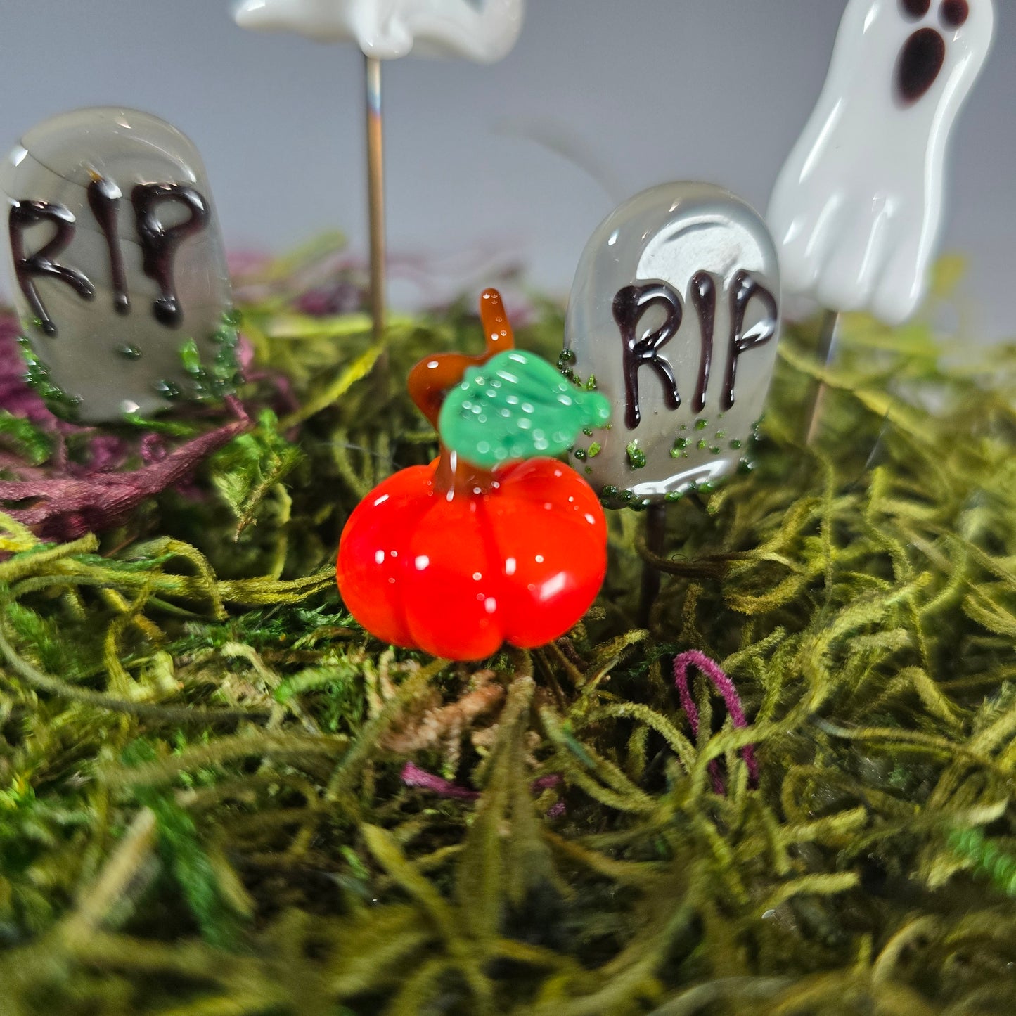 Halloween Plant Pals Gift Set, 5 piece Set