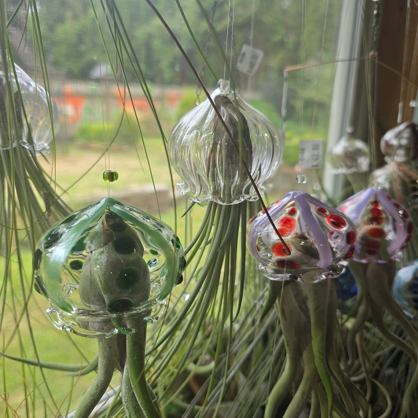 Flying Jelly Fish Air Plant Hanger, Octopus Air Plant Holder