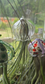 Flying Jelly Fish Air Plant Hanger, Octopus Air Plant Holder