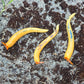 Handmade Glass Banana Slug Figurine