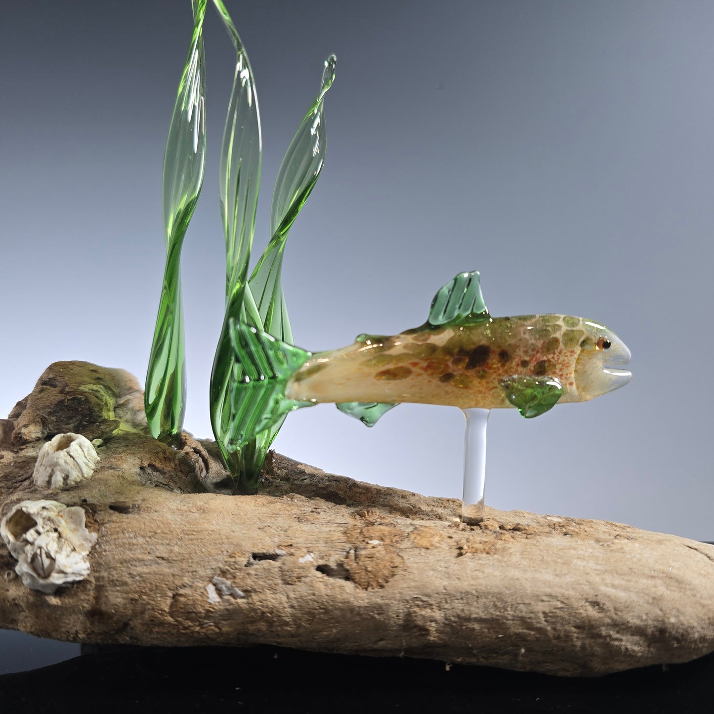 Trout and Salmon Fish Sculptures, 2025 #0816