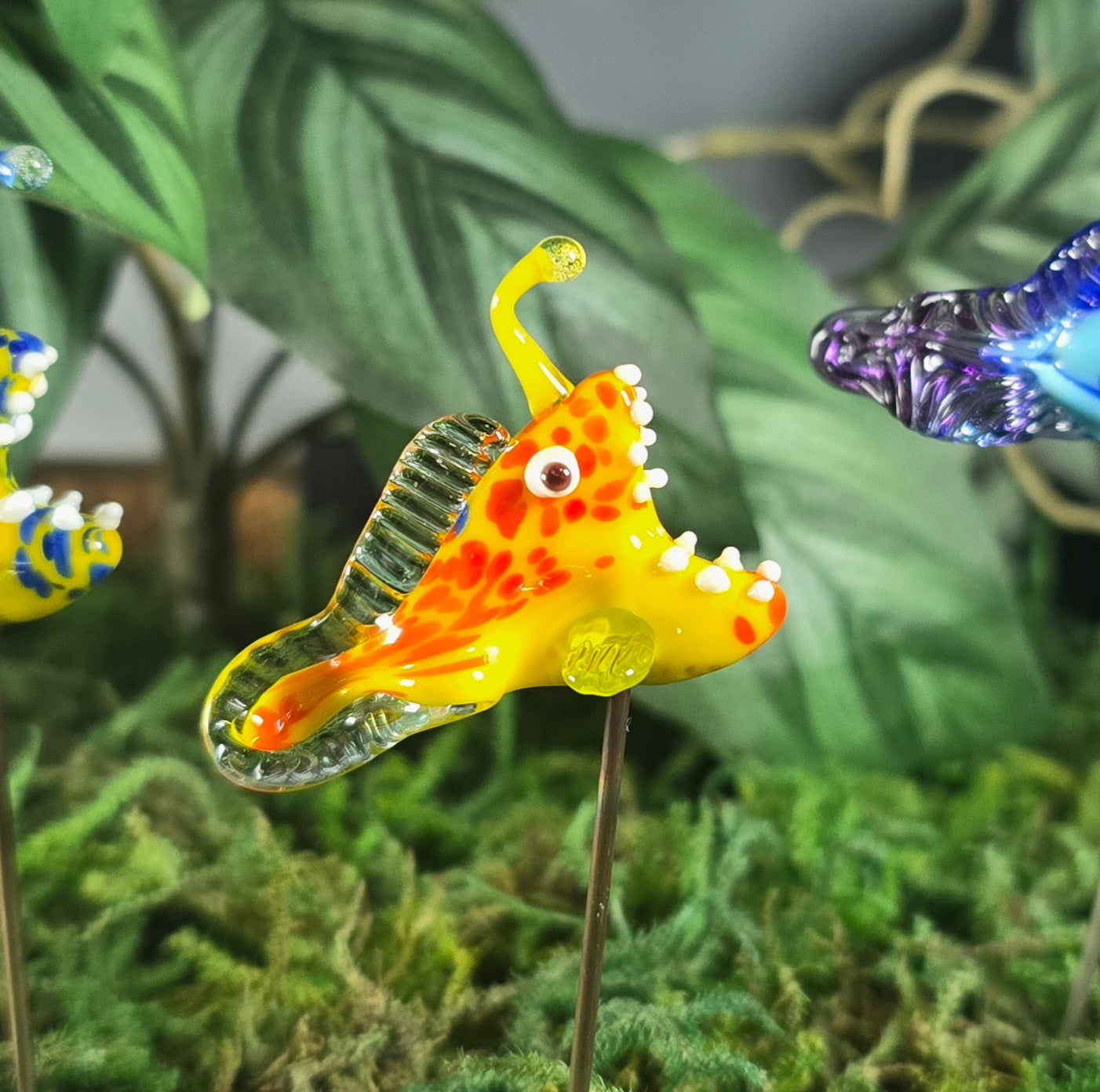 Angler Fish Plant Pals, House plant and Fairy Garden Decor