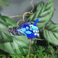 Angler Fish Plant Pals, House plant and Fairy Garden Decor