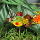 Fish Plant Pals, House plant and Fairy Garden Decor