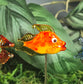 Fish Plant Pals, House plant and Fairy Garden Decor