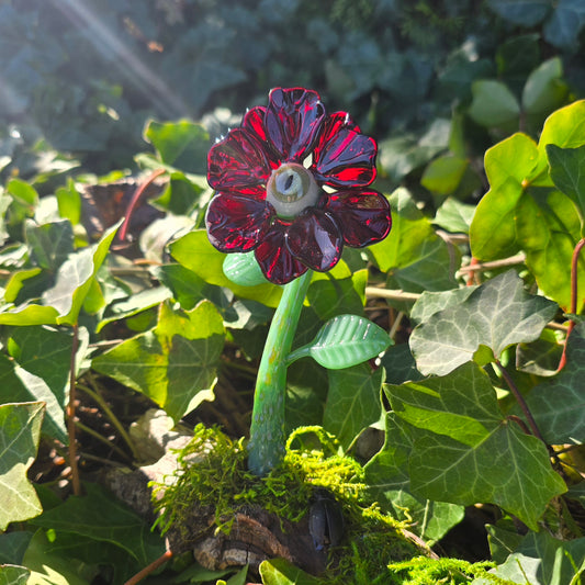 Eyeball Monster Plant Sculpture #0864