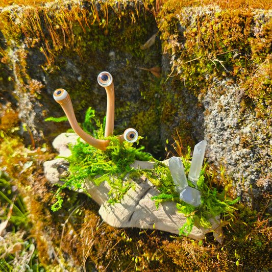 Eyeball Moss Plant Sculpture #0867