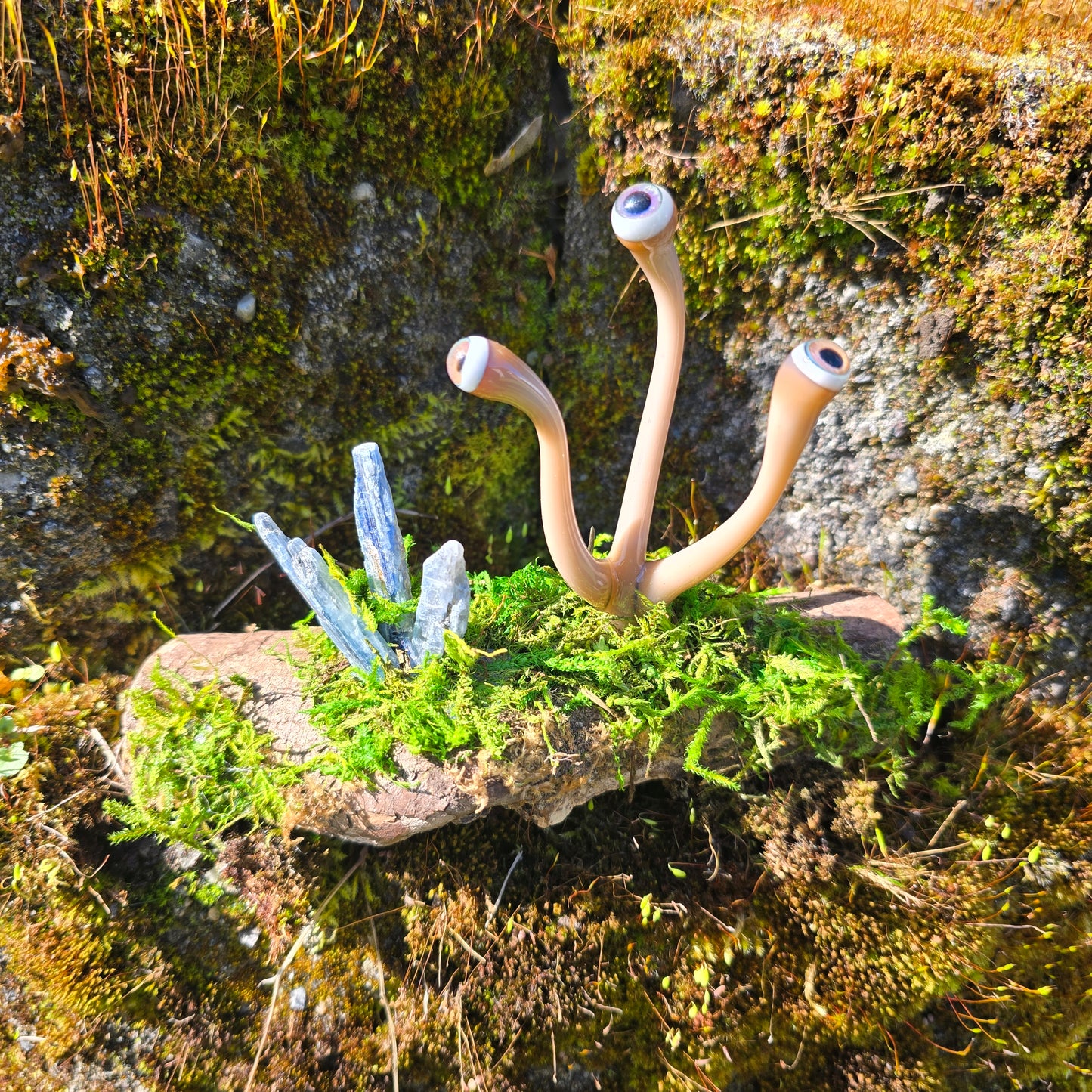 Eyeball Moss Plant Sculpture #0865