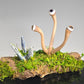 Eyeball Moss Plant Sculpture #0865