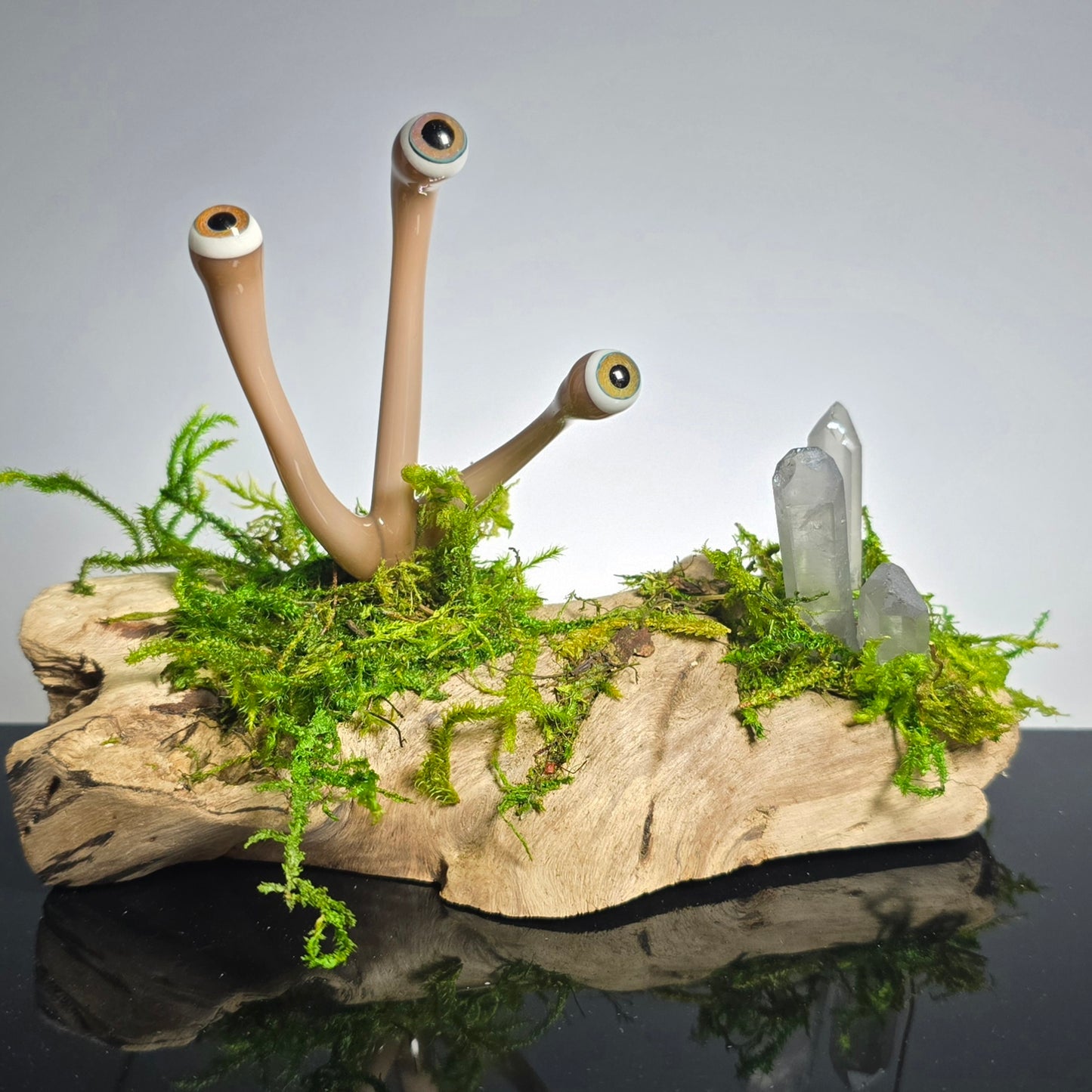 Eyeball Moss Plant Sculpture #0867