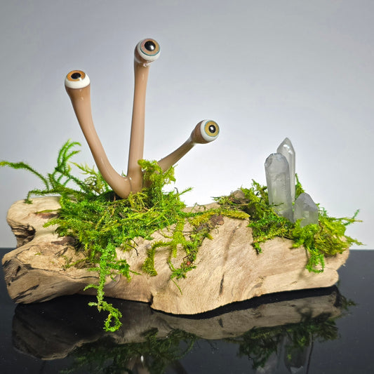 Eyeball Moss Plant Sculpture #0867