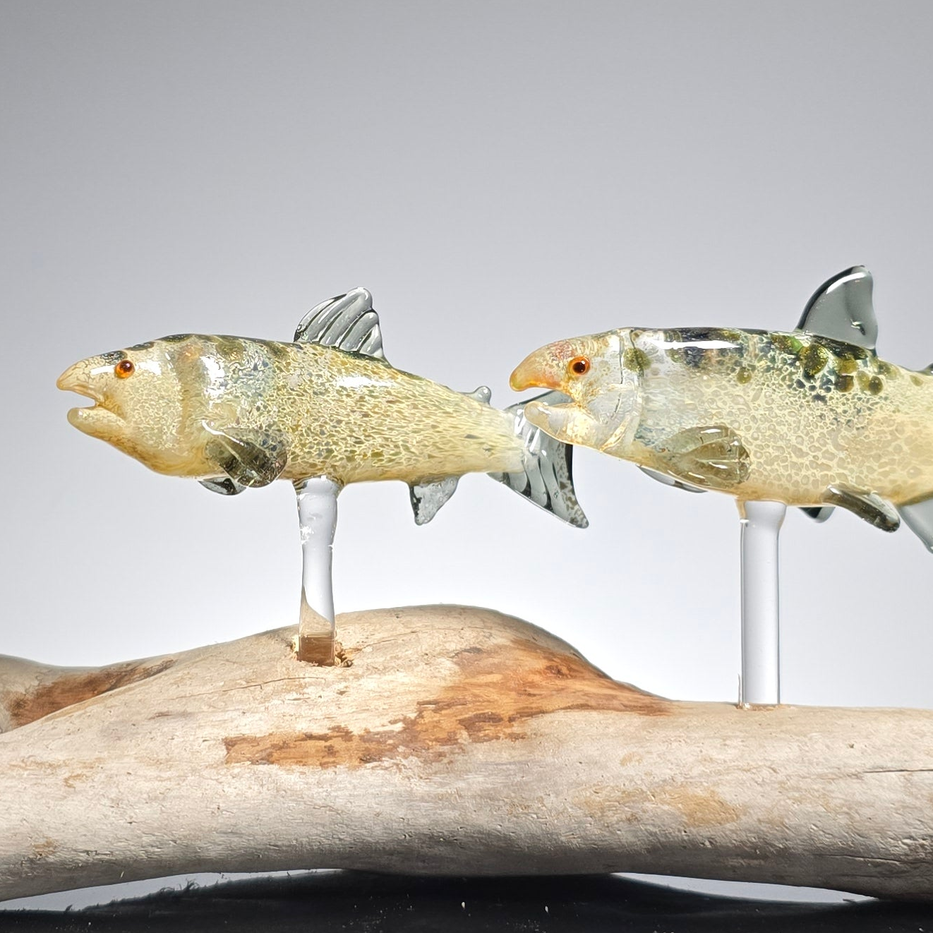 Trout and Salmon Fish Sculptures, 2025 #0901