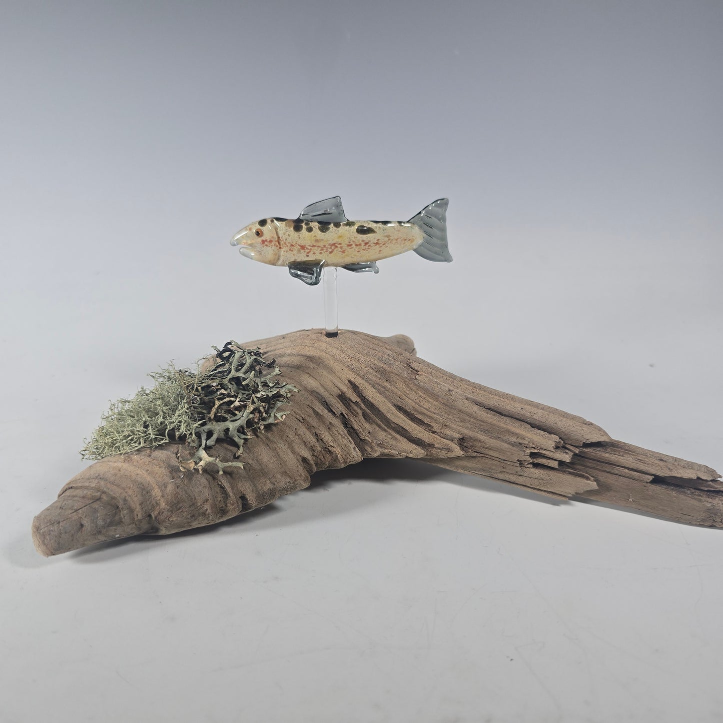 Trout and Salmon Fish Sculptures, 2025 #0960