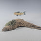 Trout and Salmon Fish Sculptures, 2025 #0960