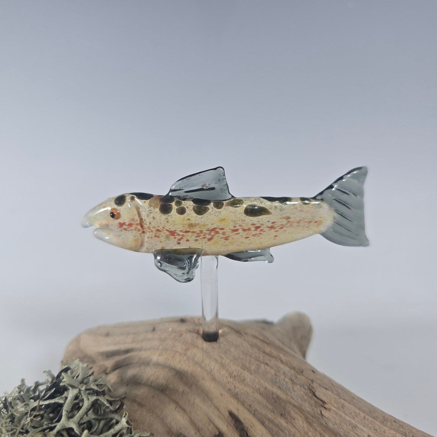 Trout and Salmon Fish Sculptures, 2025 #0960