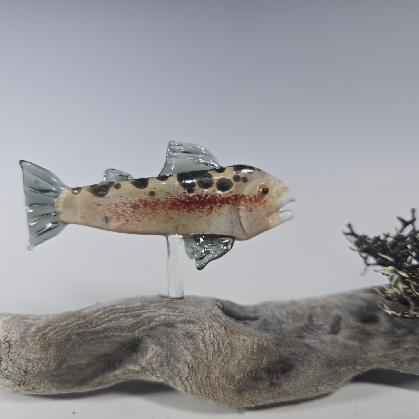 Trout and Salmon Fish Sculptures, 2025 #0961