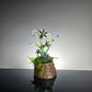 Eyeball Monster Plant Sculpture #0977