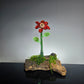 Eyeball Monster Plant Sculpture #0982