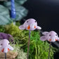 Blob Fish Plant Pals, House plant and Fairy Garden Decor