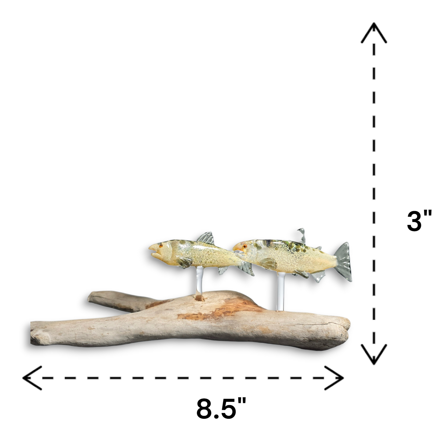 Trout and Salmon Fish Sculptures, 2025 #0901