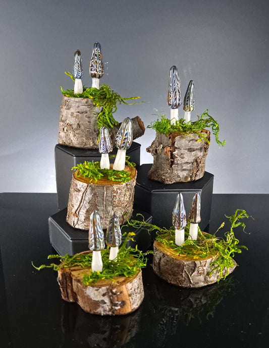 Mushroom Sculptures, Glass Morell Mushrooms